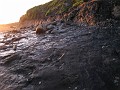 Carpinteria California 2010-02 0870